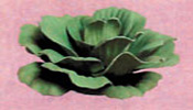 Artificial Pond Plants