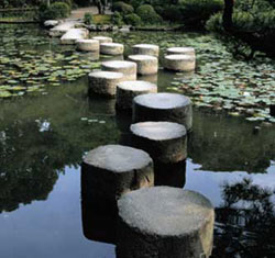 External pond pumps